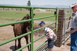 /media/Year2009/RanchDay/generated/20090628_0017W_orig.jpg